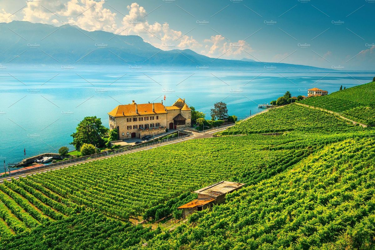 Wachau vineyards